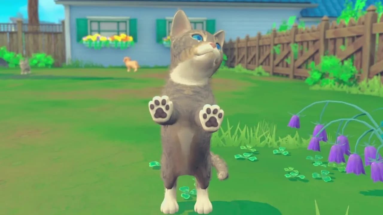 My Universe - Puppies and Kittens — скриншот 6