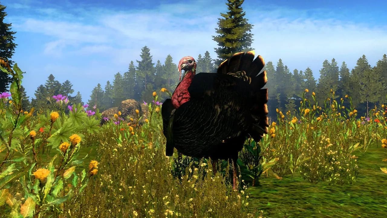 Cabela's Outdoor Adventures — скриншот 5