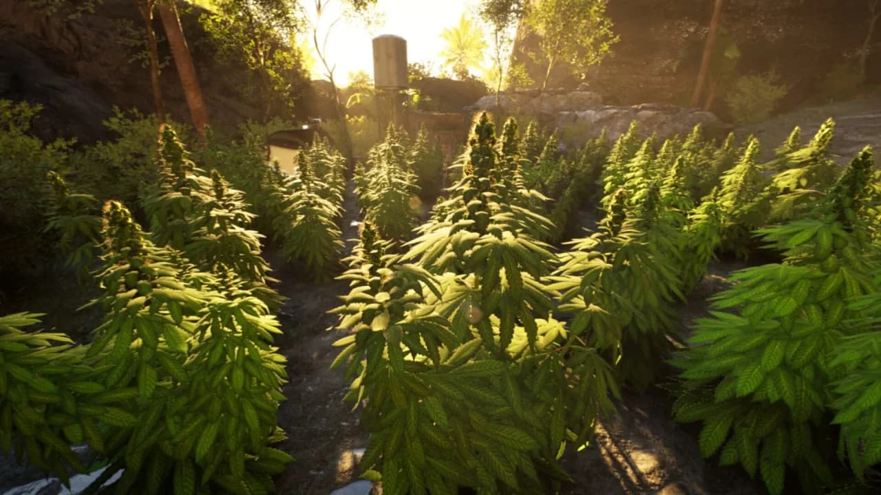 Weed Shop 4: Highland — скриншот 4