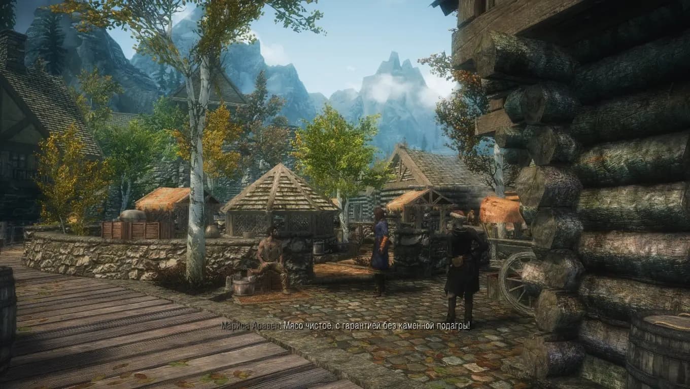 The Elder Scrolls V: Skyrim — скриншот 6