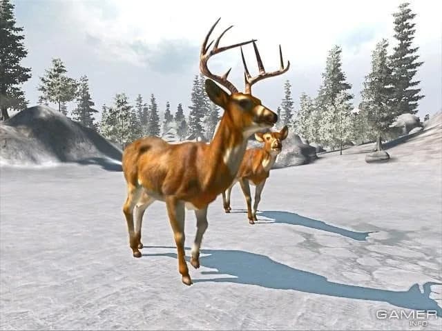 Cabela's Big Game Hunter 2008: Trophy Buck — скриншот 5