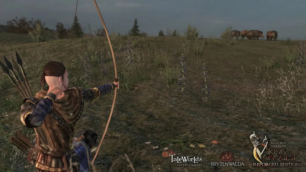 Mount and Blade: Warband - Viking Conquest Reforged Edition — скриншот 2