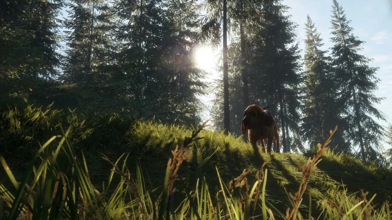 theHunter: Call of the Wild - Bloodhound — скриншот 2
