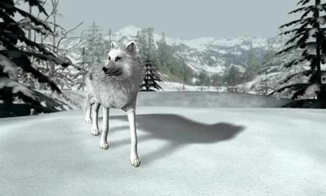 Nancy Drew: The White Wolf of Icicle Creek — скриншот 10