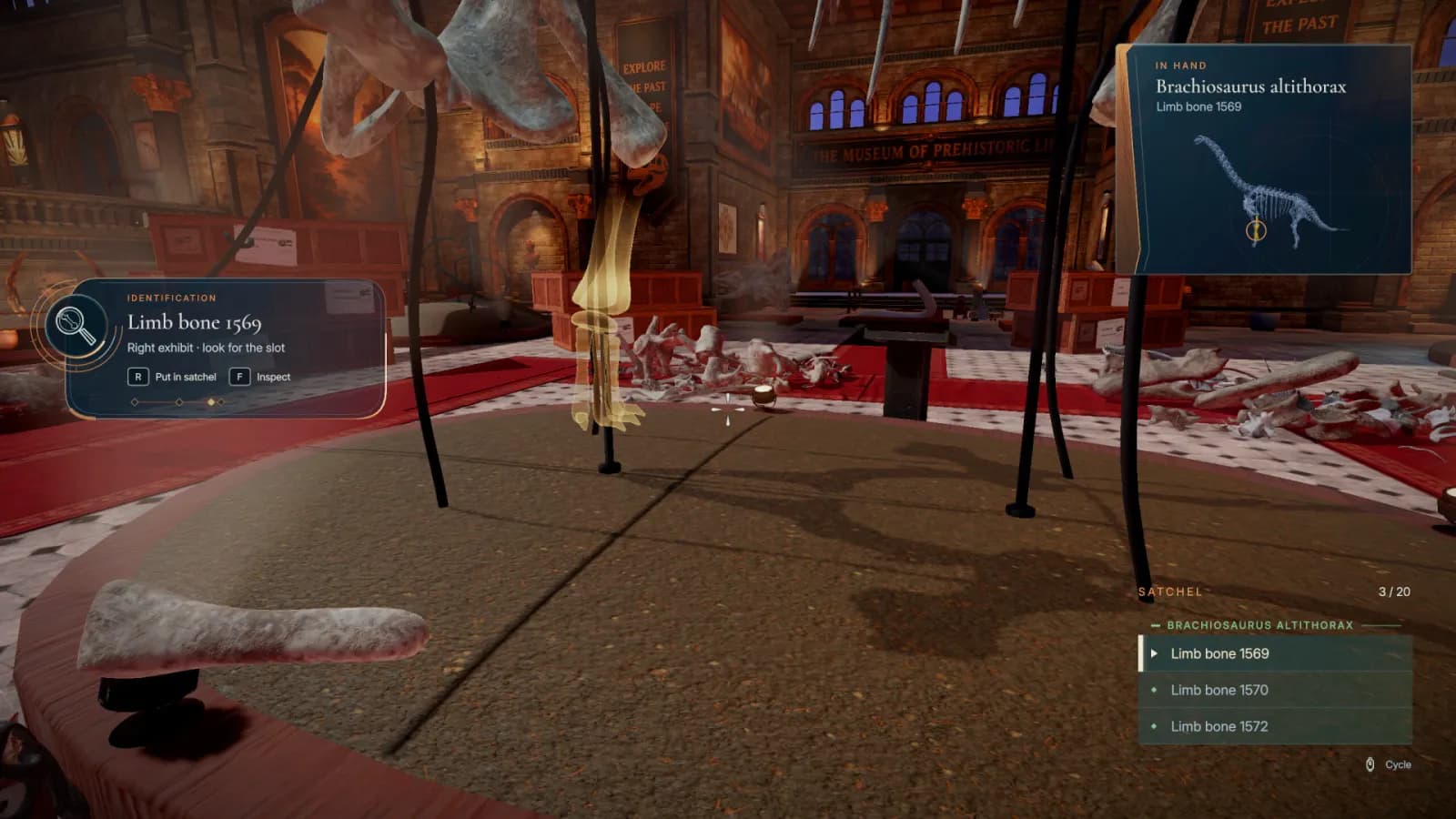 DinoBones: Tidy Up the Museum — скриншот 4