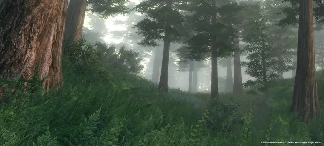 The Elder Scrolls 4: Oblivion Game of the Year Edition — скриншот 1