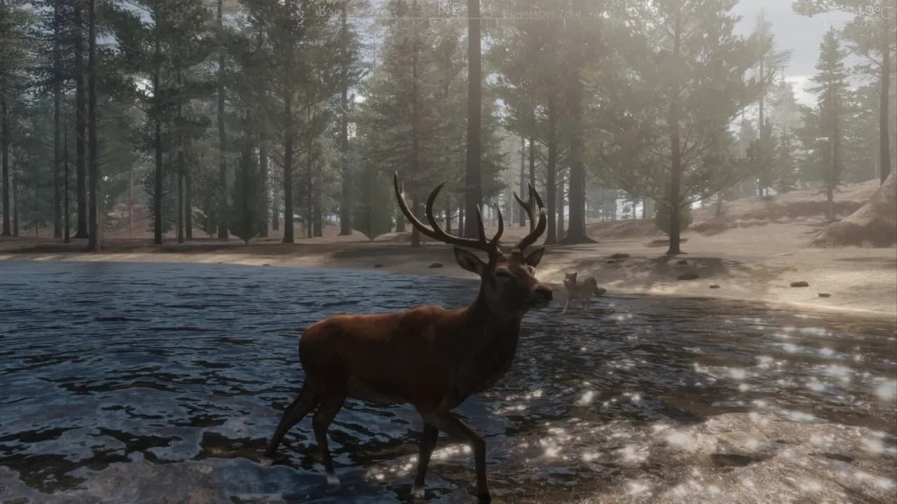 The WILDS — скриншот 6
