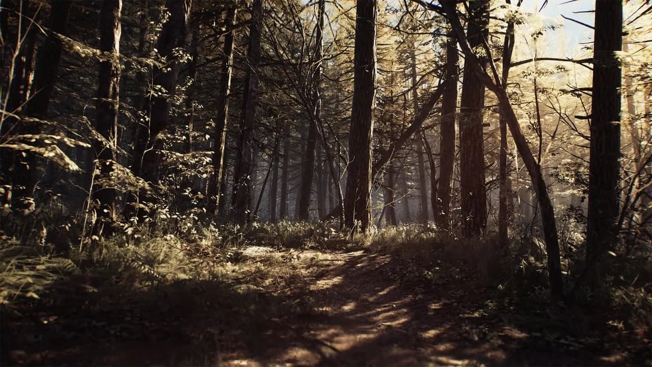Blair Witch — скриншот 3