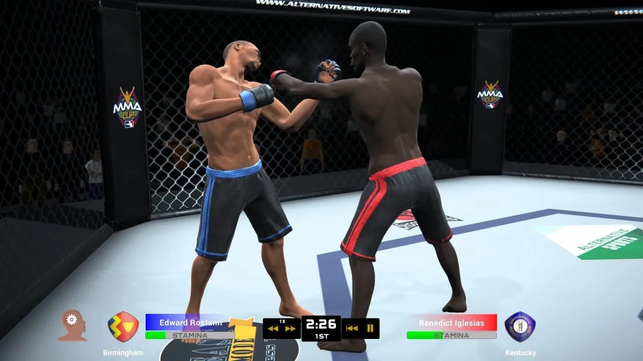 MMA Team Manager — скриншот 10