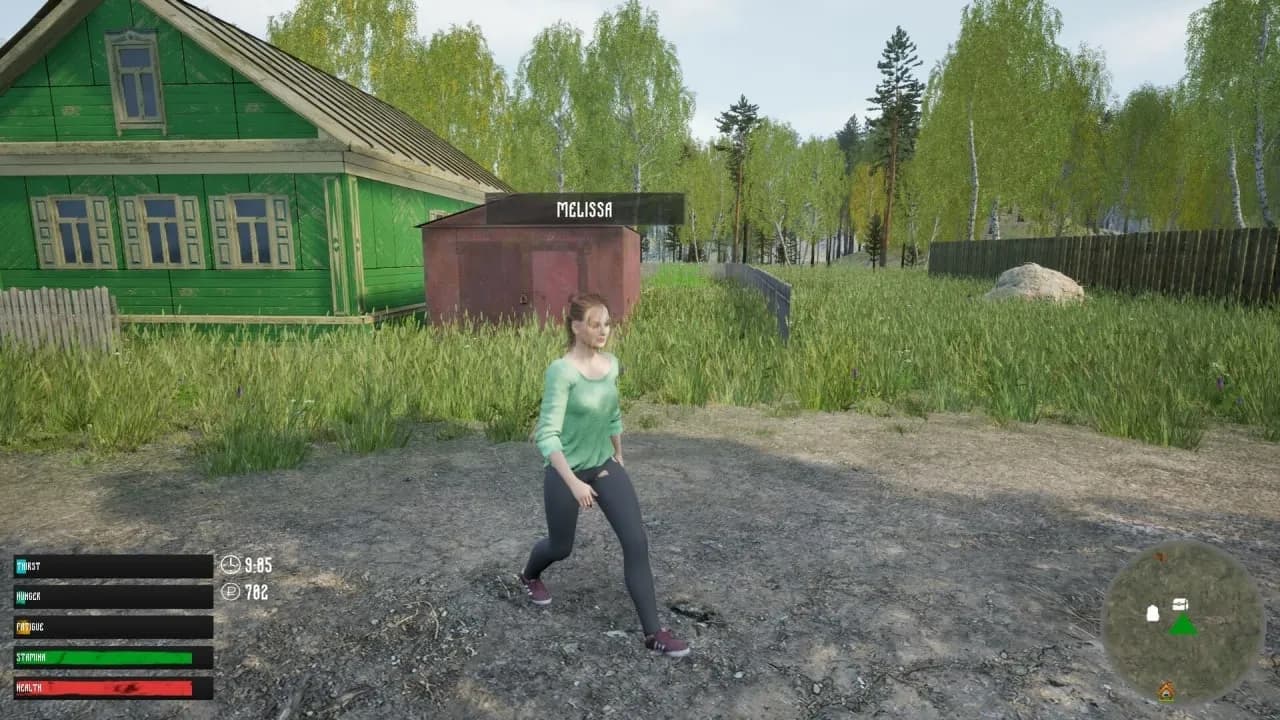 russian Village Simulator — скриншот 11