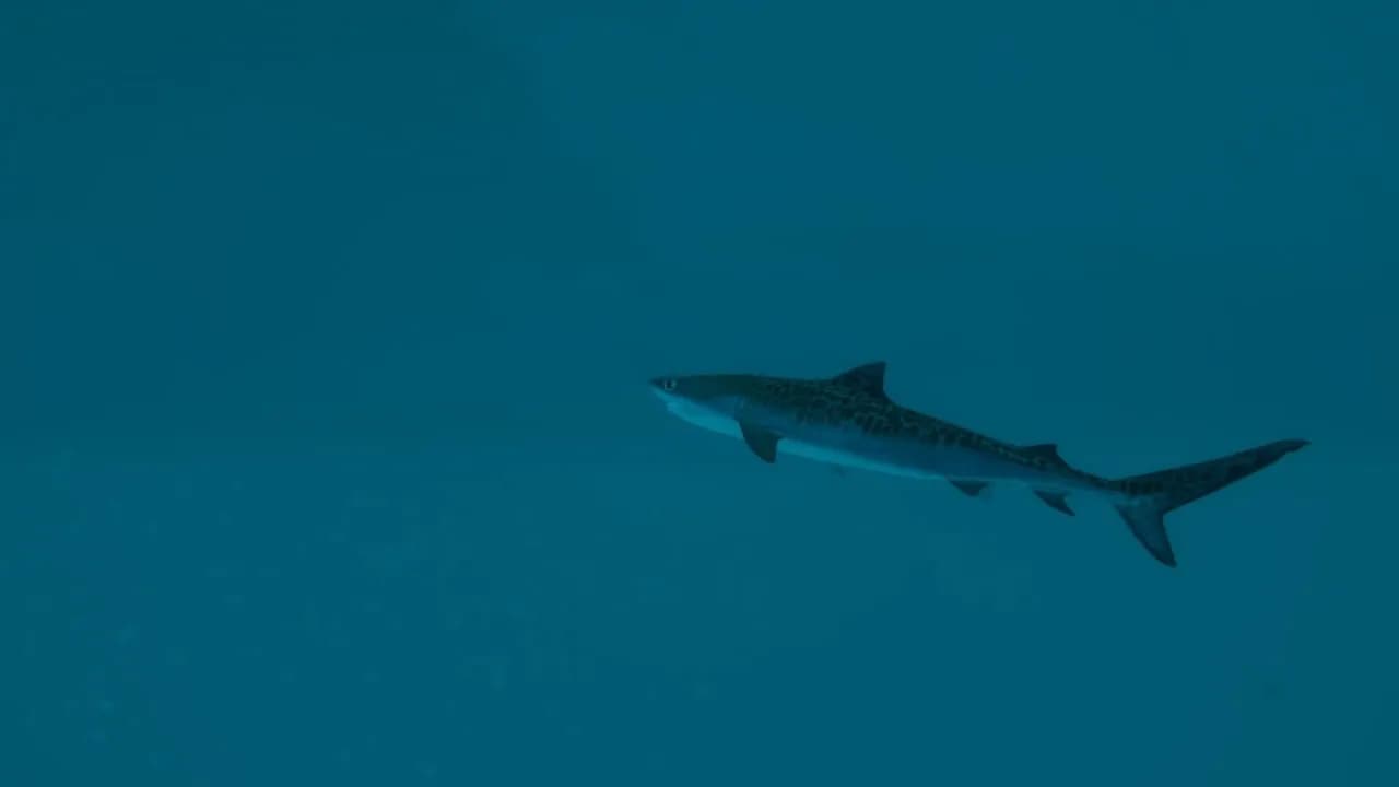 Ultimate Fishing Simulator 2 — скриншот 7