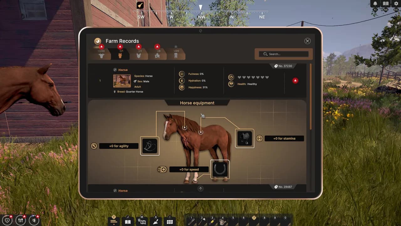 Rancher: A new life — скриншот 6