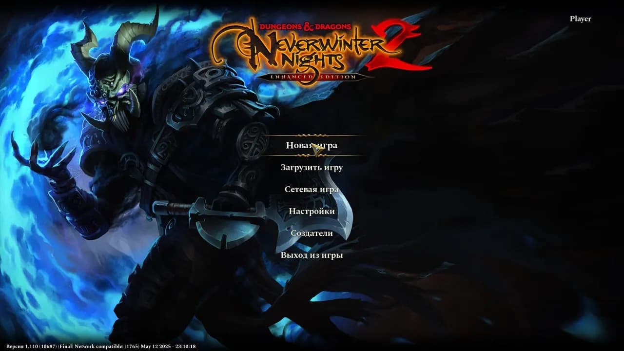 Dungeons & Dragons Neverwinter Nights 2 Enhanced Edition — скриншот 1