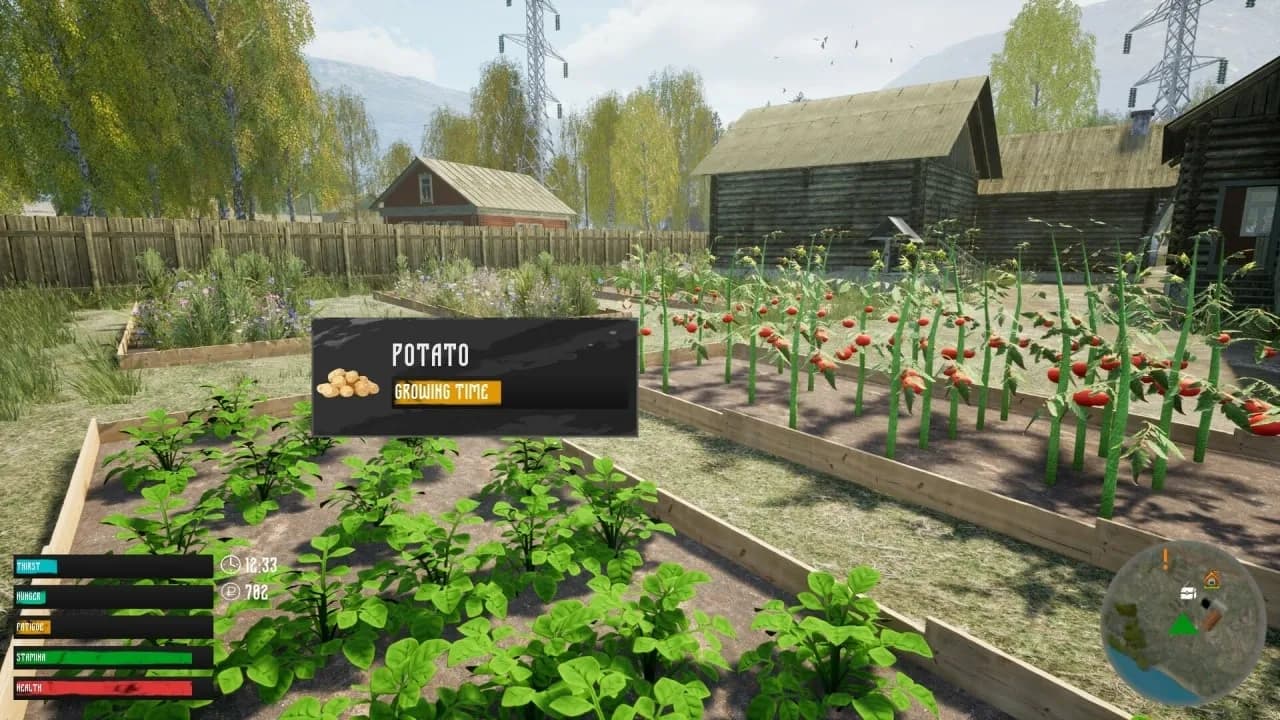 russian Village Simulator — скриншот 5