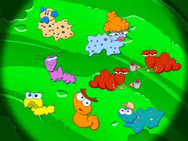 Freddi Fish 5: The Case of the Creature of Coral Cove — скриншот 8