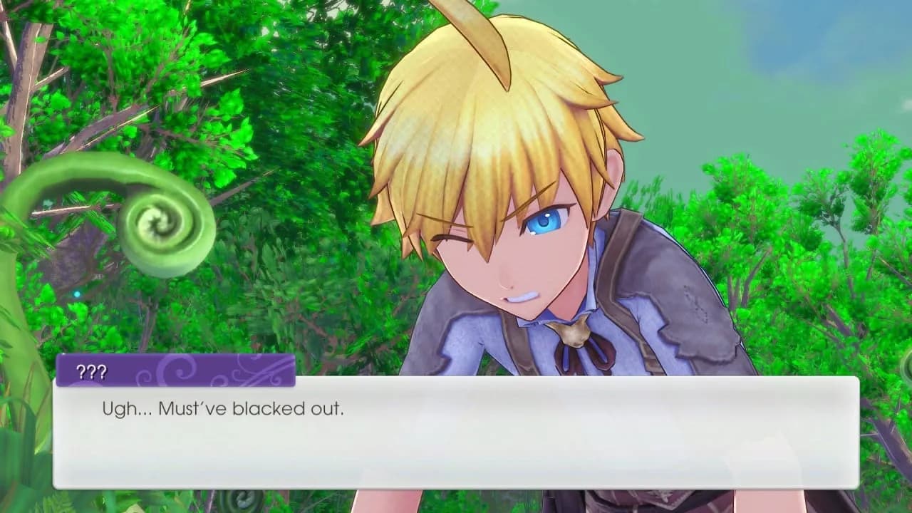 Rune Factory 5 — скриншот 1