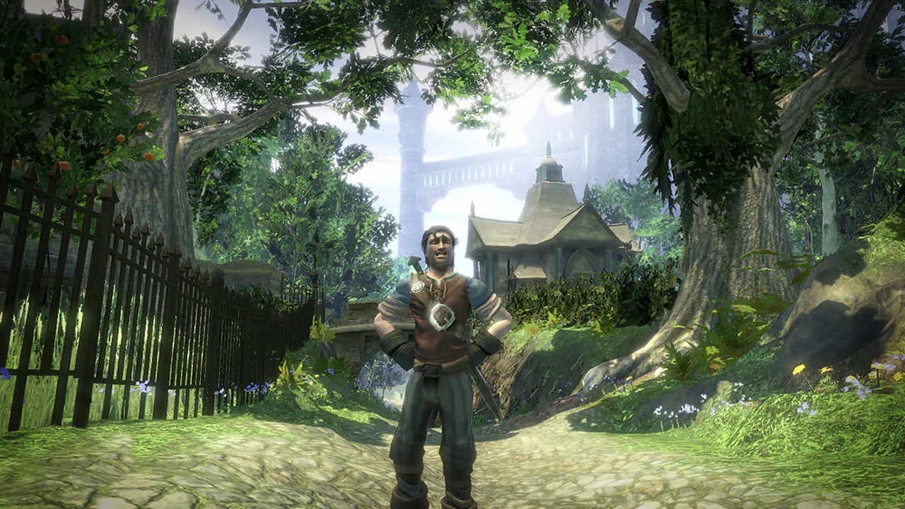 Fable 2 — скриншот 1