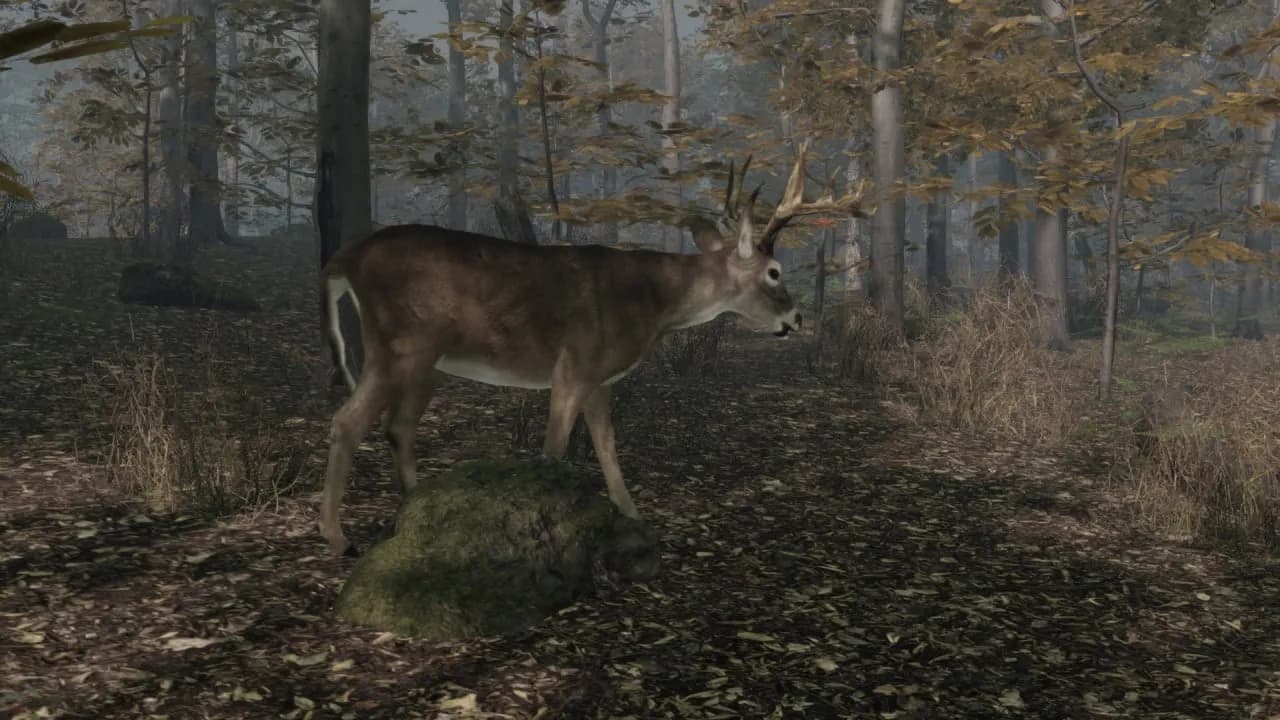 Pro Deer Hunting 2 — скриншот 1