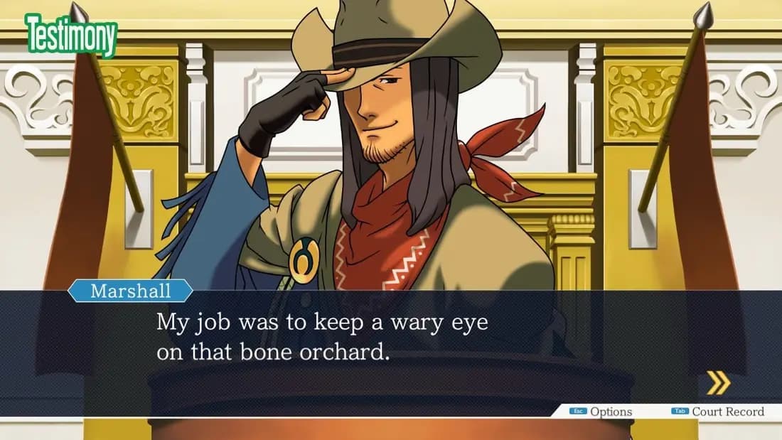 Phoenix Wright: Ace Attorney Trilogy — скриншот 2