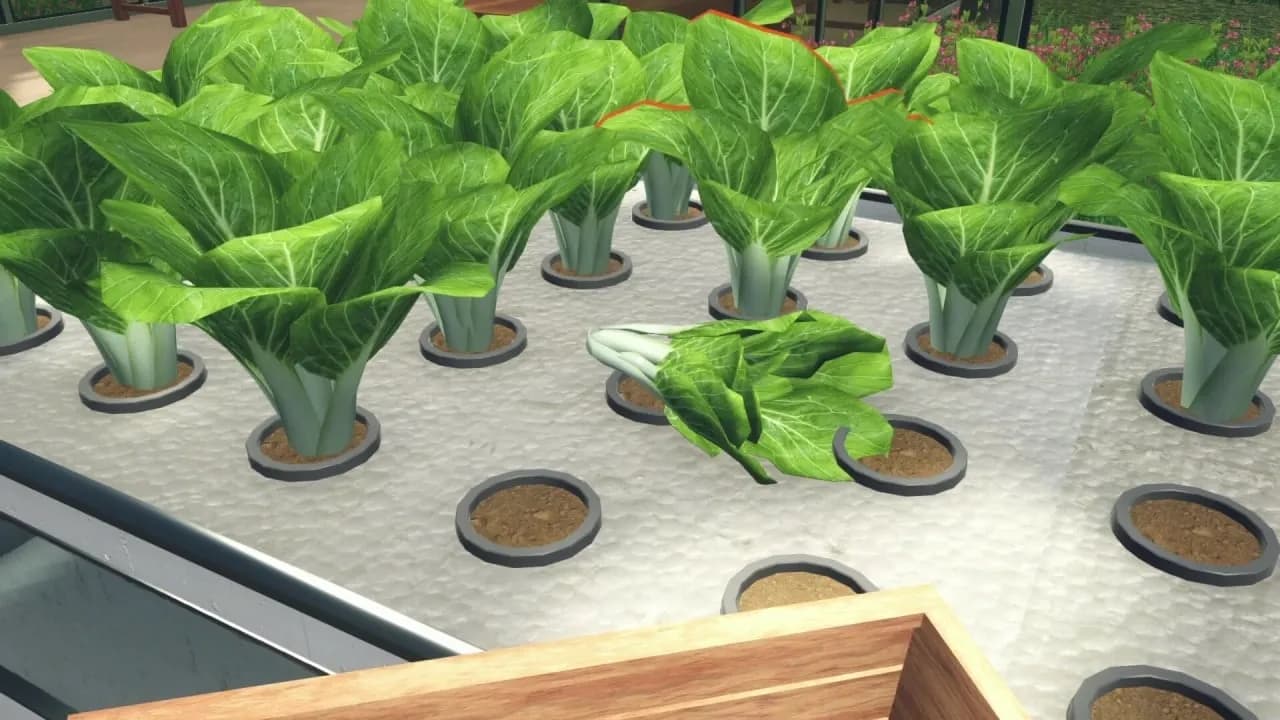 Hydroponics Farm and Store Simulator — скриншот 7