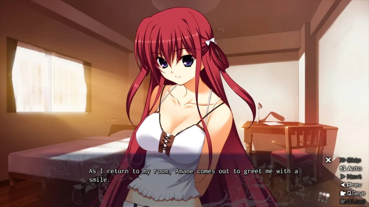 The Labyrinth of Grisaia — скриншот 2