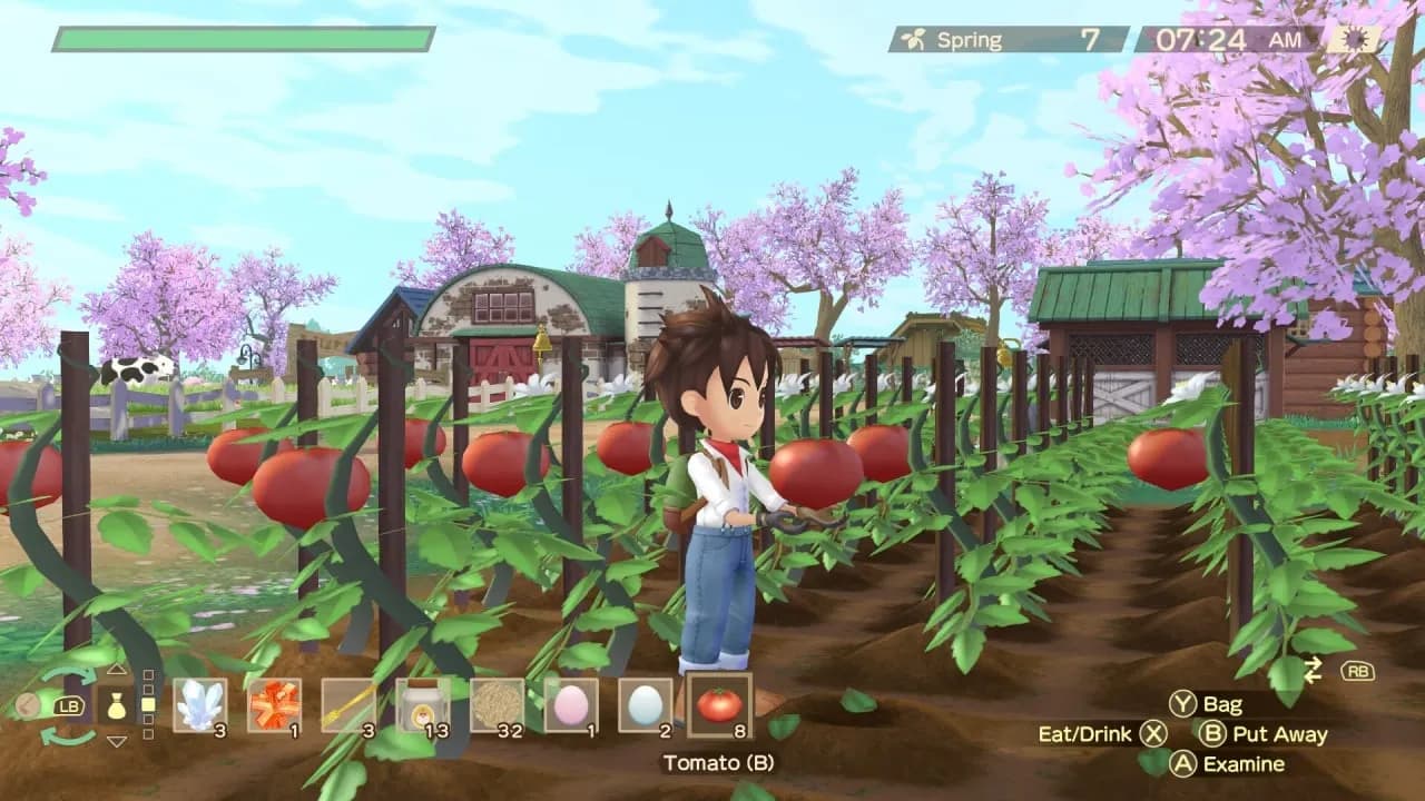 STORY OF SEASONS: A Wonderful Life — скриншот 7