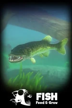 Обложка Feed and Grow: Fish