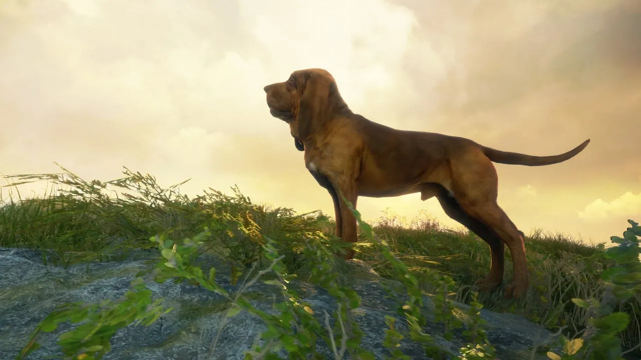 theHunter: Call of the Wild - Bloodhound — скриншот 1
