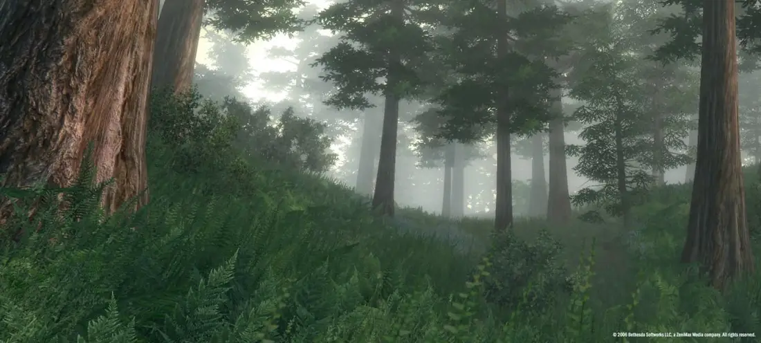 The Elder Scrolls 4: Oblivion Game of the Year Edition — скриншот 1